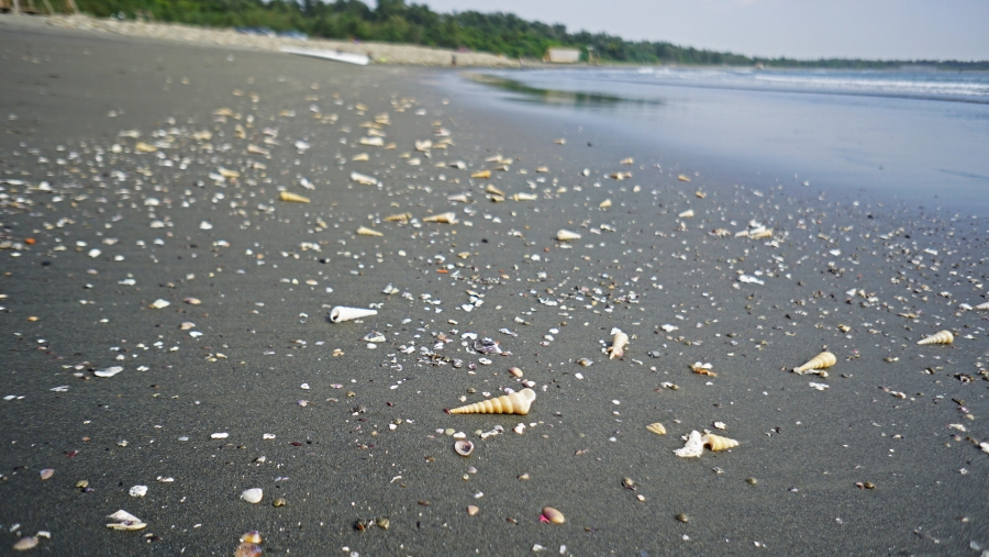 DSC02129.JPG DSC02129.JPG