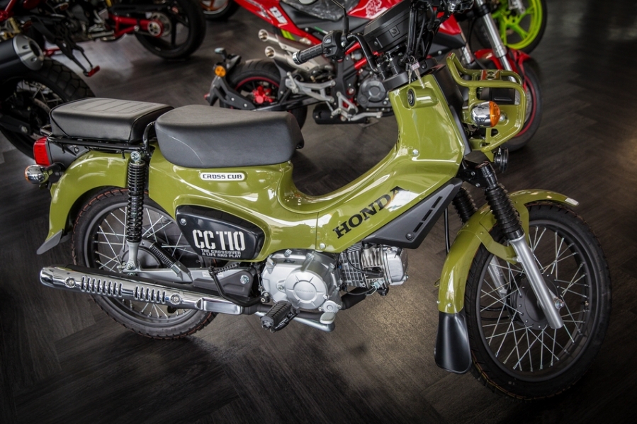 EeDoLmn.jpg EeDoLmn.jpg