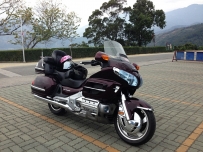 自售08' GOLDWING